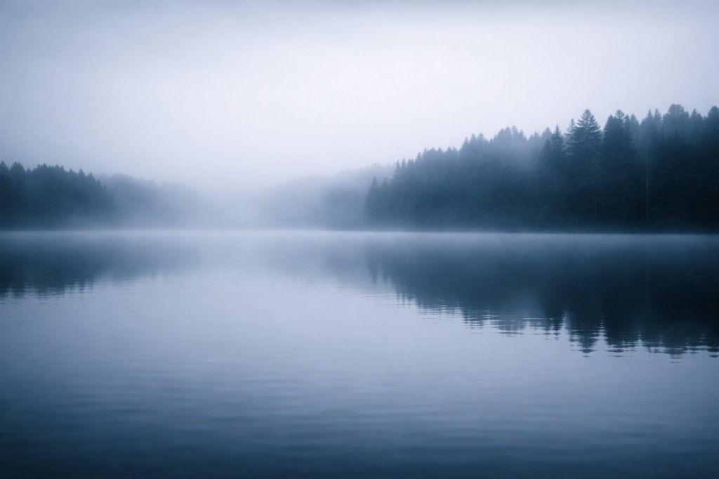 Misty forest lake